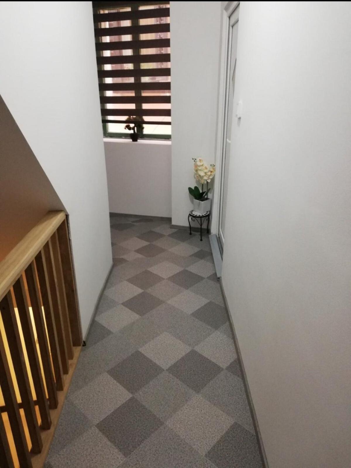 Studio Ana Ρόβινι Εξωτερικό φωτογραφία